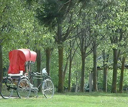 메르세르 토레 델 레메이 호텔 5*